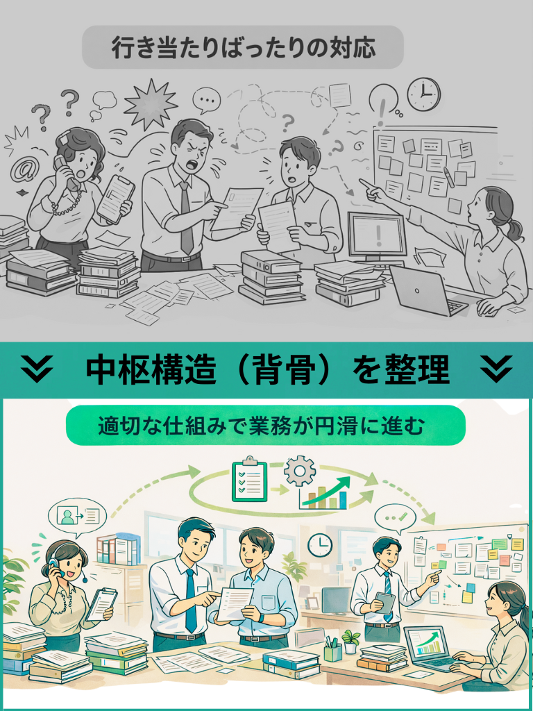 中枢構造（背骨）を整理